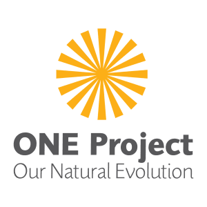 one project logo - Peace by Peas