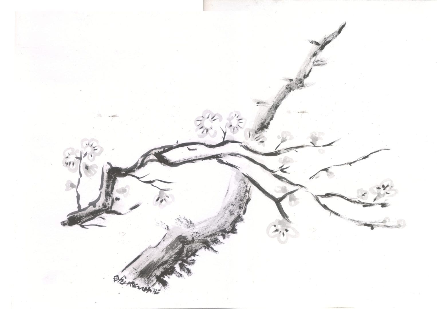 2018_B_Plum.Tree - Emiliano Zapata