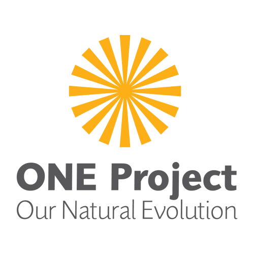 one project logo - Peace by Peas